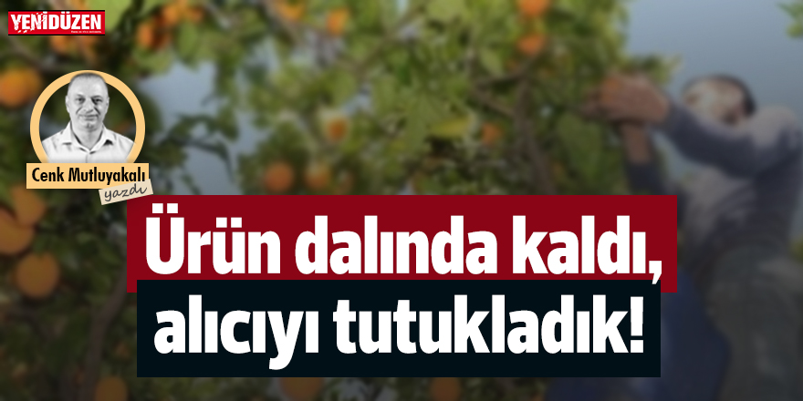 Ürün dalında kaldı, alıcıyı tutukladık!
