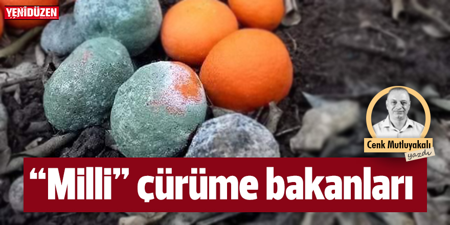 “Milli” çürüme bakanları!