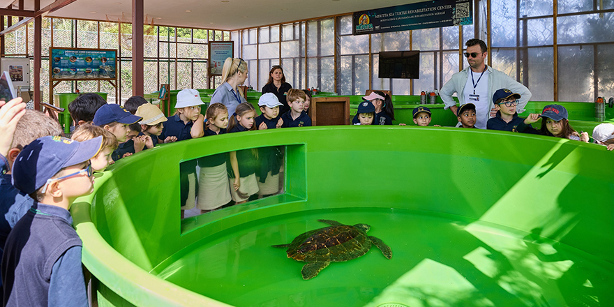 Meritta Deniz Kaplumbağaları Rehabilitasyon Merkezi'ne miniklerden ziyaret…