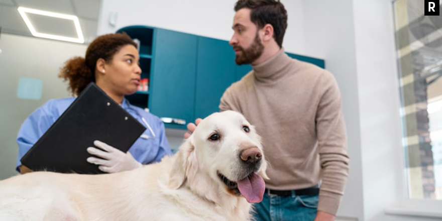 Veteriner Klinik Programları ile İşletme Yönetimi Kolaylaşıyor