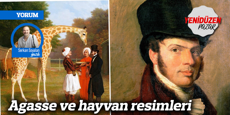 Agasse ve hayvan resimleri