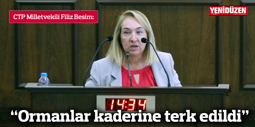 “Ormanlar kaderine terk edildi”