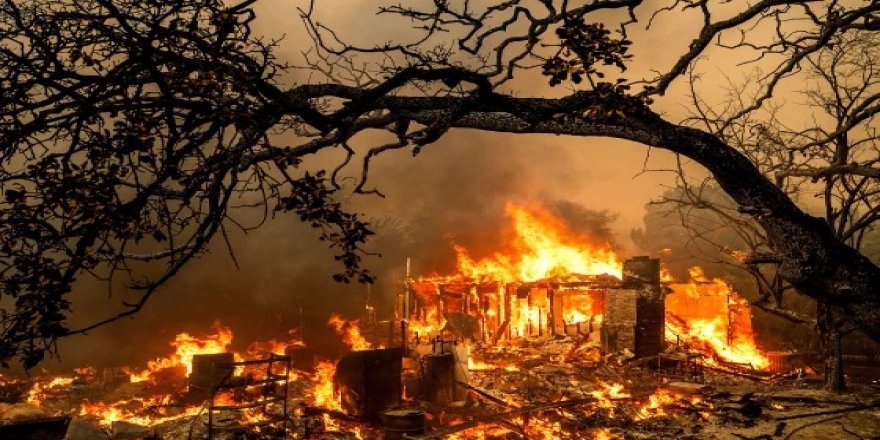 California’da orman yangını: 26 binden fazla kişi tahliye edildi