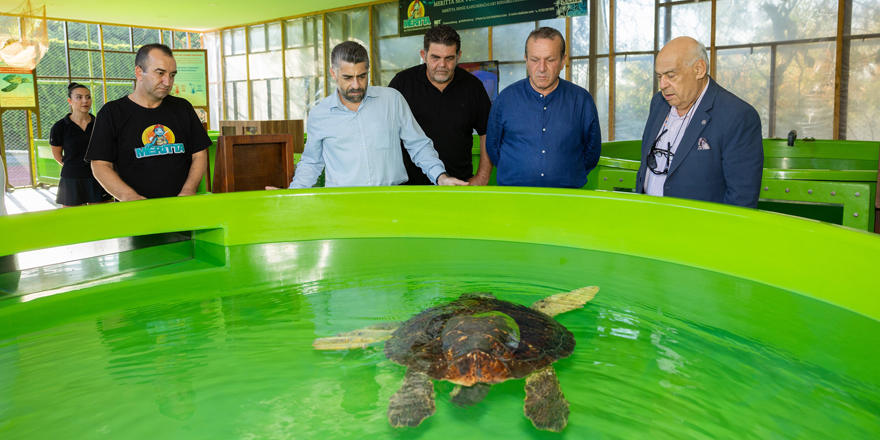 Meritta Deniz Kaplumbağaları Rehabilitasyon Merkezi tarafından çalıştay düzenlendi