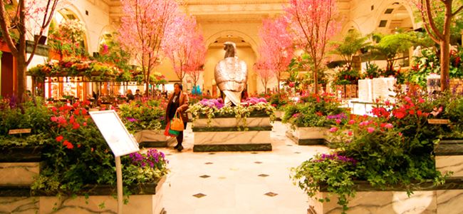 Dünyanın en büyük mağazası çiçek açtı