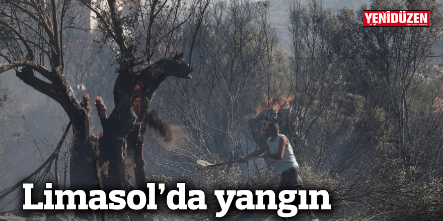 Limasol'da yangın