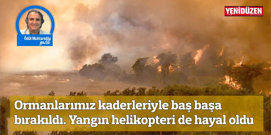 Ormanlarımız kaderleriyle baş başa bırakıldı. Yangın helikopteri de hayal oldu