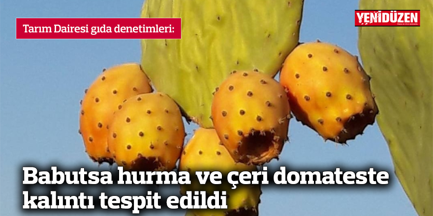 Babutsa hurma ve çeri domateste kalıntı tespit edildi