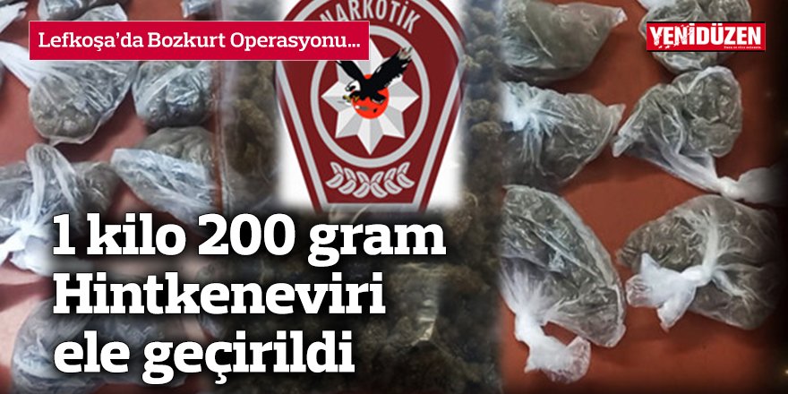 1 kilo 200 gram Hintkeneviri ele geçirildi