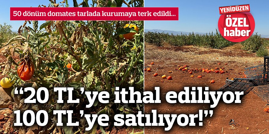 “20 TL’ye ithal ediliyor 100 TL’ye satılıyor!”