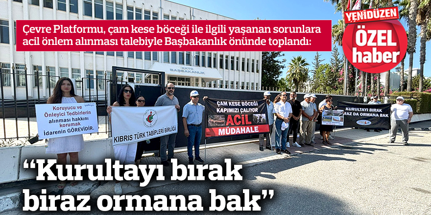 “Kurultayı bırak biraz ormana bak”