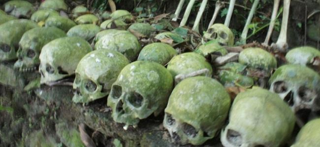 KORKU FİLMİ GİBİ!