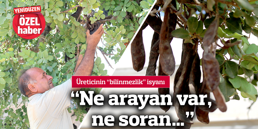 "Ne arayan var, ne soran…"