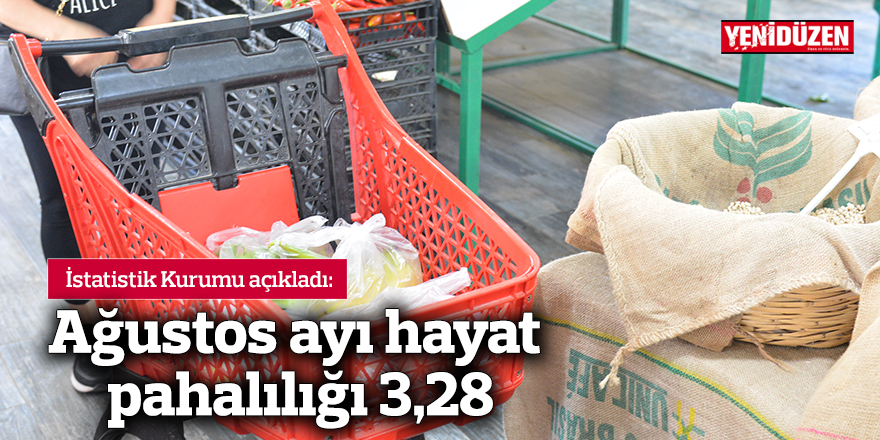 Ağustos ayı hayat pahalılığı 3,28