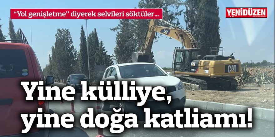 “Yol genişletme” diyerek selvileri söktüler…