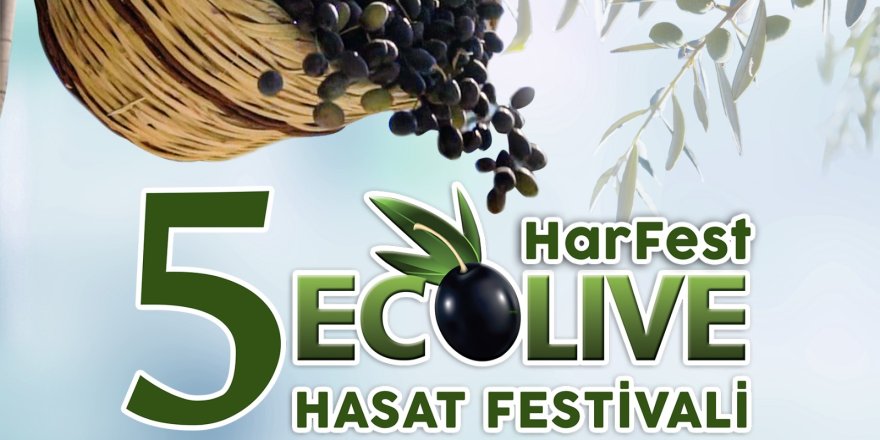 Akdeniz'de Ecolive Hasat Festival heyecanı