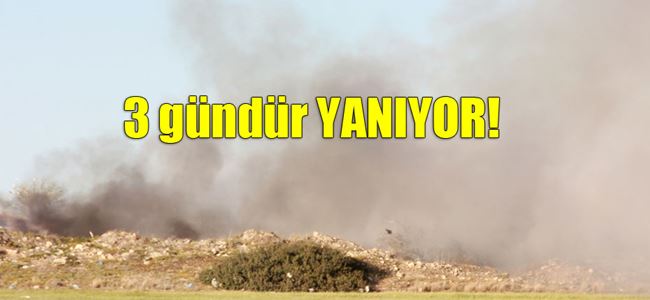 Çöplük yandı, İskele dumana boğuldu!