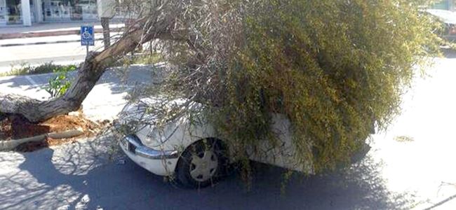 Şiddetli rüzgar zarar getirdi