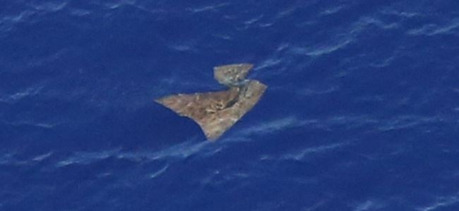 En umut verici ipucu