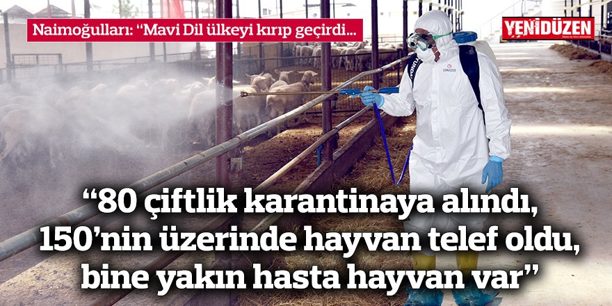 “80 çiftlik karantinaya alındı, 150’nin üzerinde hayvan telef oldu..."