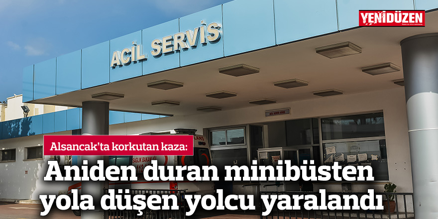 Aniden duran minibüsten yola düşen yolcu yaralandı