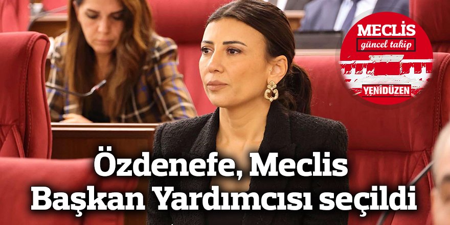 Özdenefe, Meclis Başkan Yardımcısı seçildi