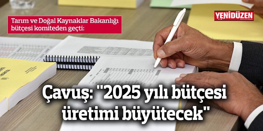 Tarım ve Doğal Kaynaklar Bakanlığı bütçesi komiteden geçti... Çavuş: "2025 yılı bütçesi üretimi büyütecek"