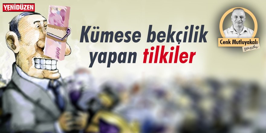 Kümese bekçilik yapan tilkiler