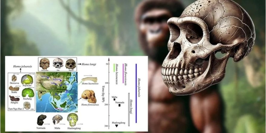 Bilim insanları duyurdu: Yeni bir insan türü keşfedildi
