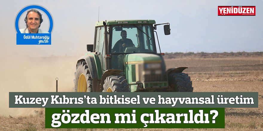 Kuzey Kıbrıs’ta bitkisel ve hayvansal üretim gözden mi çıkarıldı?