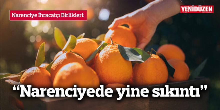 Narenciye İhracatçı Birlikleri: “Narenciyede yine sıkıntı”