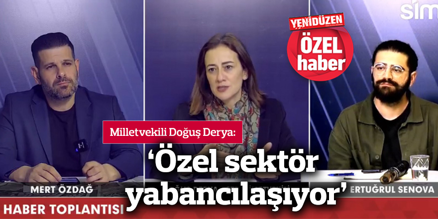 ‘Özel sektör  yabancılaşıyor’