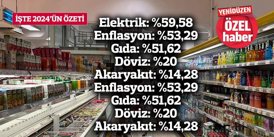 İŞTE 2024’ÜN ÖZETİ: Elektrik: %59,58 Enflasyon: %53,29 Gıda: %51,62 Döviz: %20 Akaryakıt: %14,28