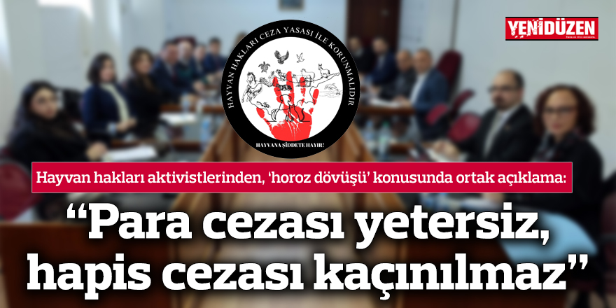 Hayvan hakları aktivistlerinden ortak açıklama: “Para cezası yetersiz, hapis cezası kaçınılmaz”