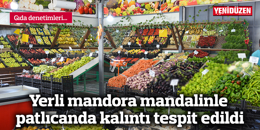 Yerli mandora mandalinle patlıcanda kalıntı tespit edildi
