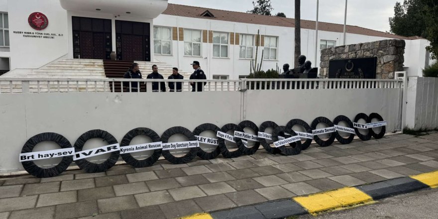 Hayvan severler dernekleri Meclis önüne çelenk bıraktı