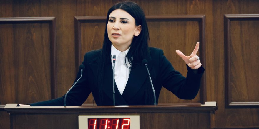 Özdenefe: “Bu ülkede genelev çalıştırmak, fuhuş yapmak, fuhuş yapmaya teşvik suçtur”