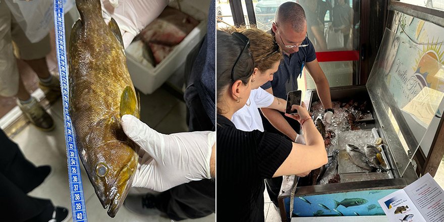 Restoranlara denetim… Tarım Bakanlığı bazı deniz ürünlerine el koydu