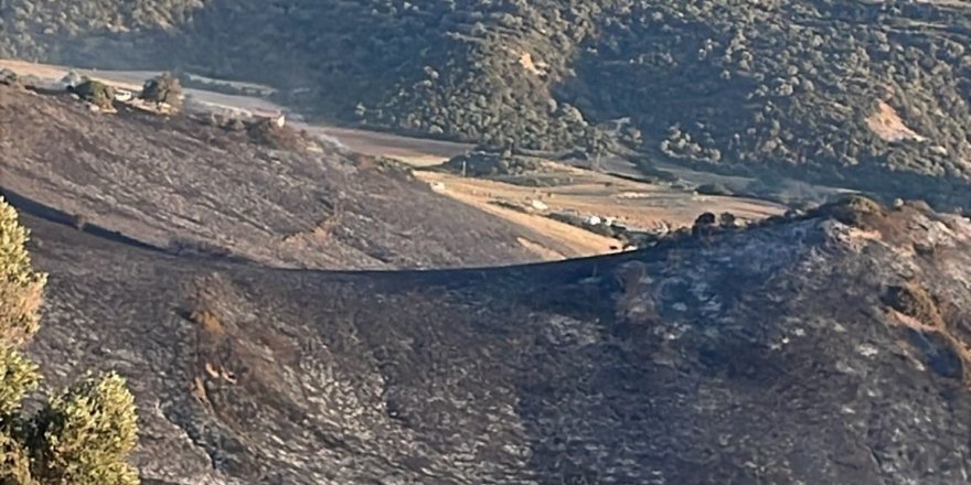 Avtepe’deki yangın tamamen söndürüldü
