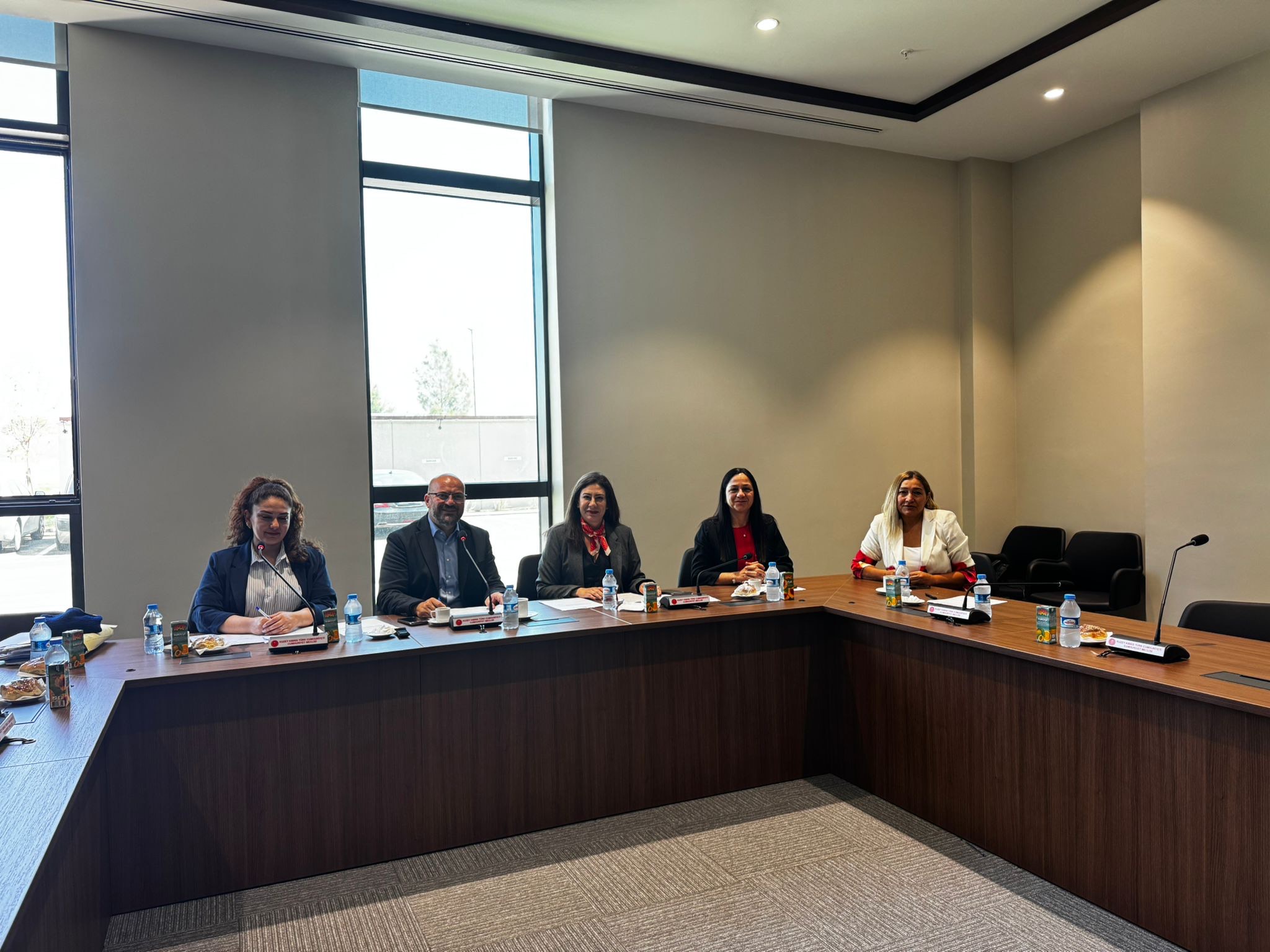 Yükseköğretim kurumlarının araştırılmasına ilişkin komite toplandı