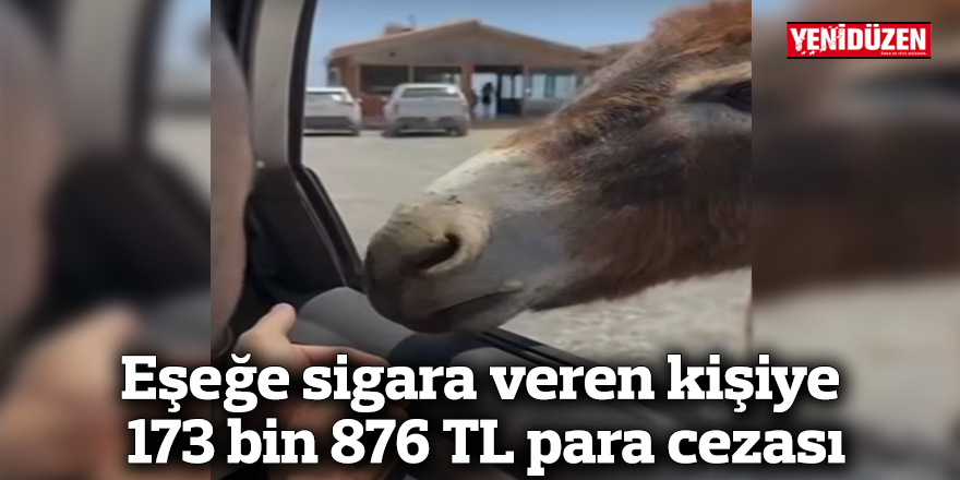Eşeğe sigara veren kişiye 173 bin 876 TL para cezası