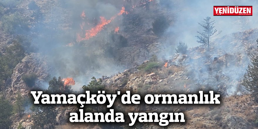 Yamaçköy'de ormanlık alanda yangın