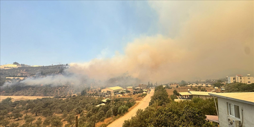 Hatay'da ormanlık alanda yangın çıktı
