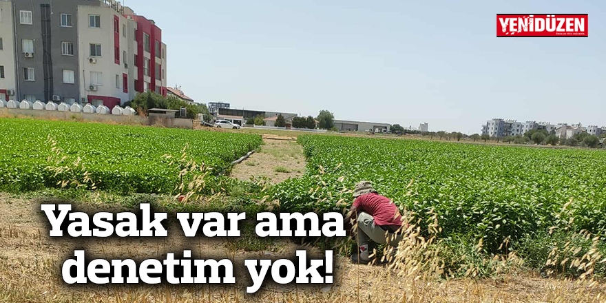 Yasak var ama denetim yok!