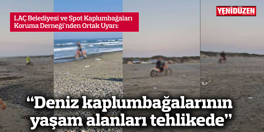 “Deniz kaplumbağalarının yaşam alanları tehlikede”