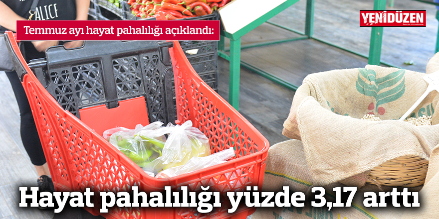Hayat pahalılığı yüzde 3,17 arttı