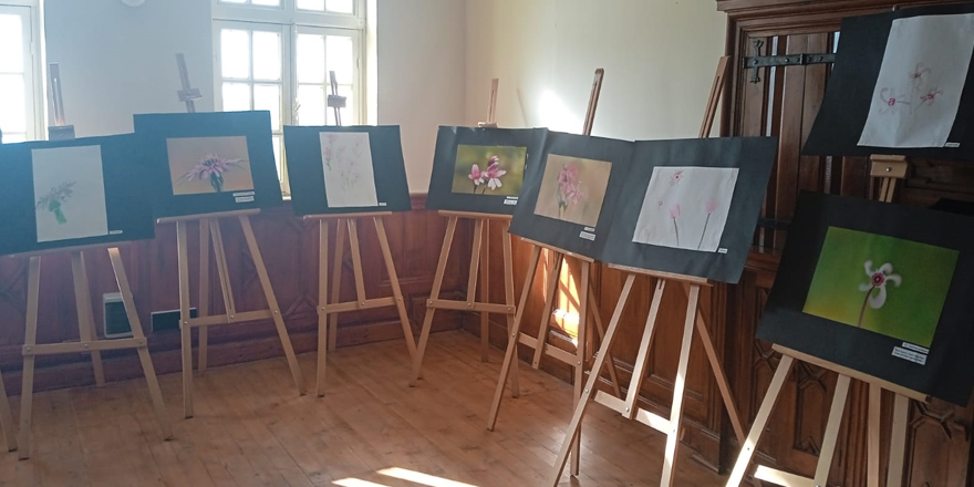 DAÜ organizasyonuyla SOS Çocuk Köyü’nün resim sergisi gerçekleştirildi