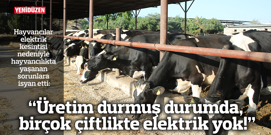 “Üretim durmuş durumda, birçok çiftlikte elektrik yok!”