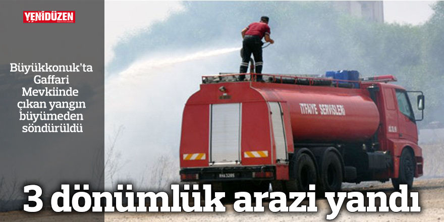 3 dönümlük arazi yandı