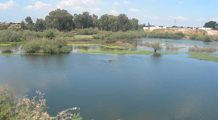 Sivil toplum örgütleri Ayluga Sulak Alanı’nı koruma çağrısında bulundu